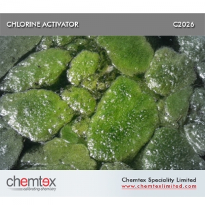 Manufacturers Exporters and Wholesale Suppliers of Chlorine Activator Kolkata West Bengal